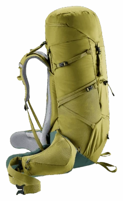 Deuter Aircontact Core 60+10 -Sport Way Store 3350524 2297 AircontactCore60plus10 cactus ivy D 02