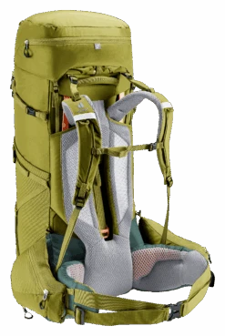 Deuter Aircontact Core 60+10 -Sport Way Store 3350524 2297 AircontactCore60plus10 cactus ivy D 03