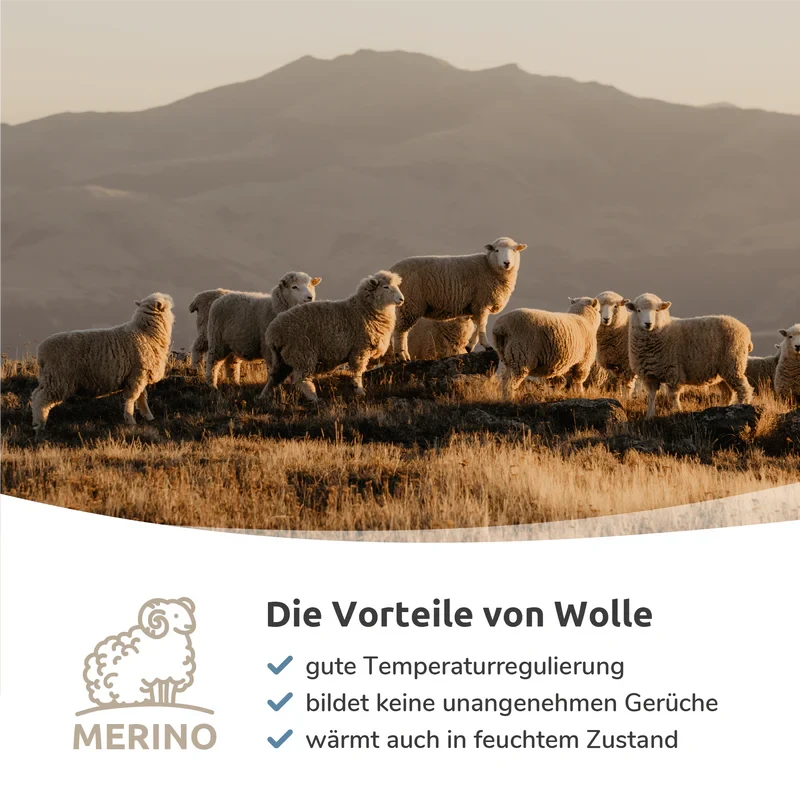 Merino Stride Crew - Wandersocken 3 Merino Stride Crew - Wandersocken – Bild 3